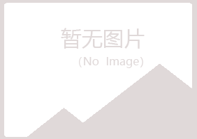 鹤山区小玉造纸有限公司